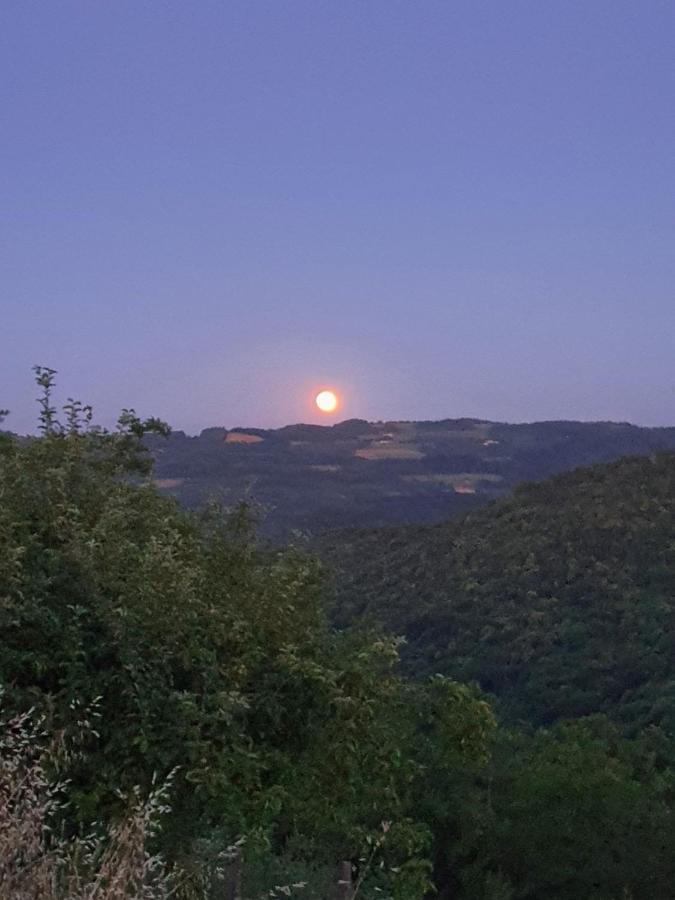 Cascina Brichat Alta Langa Serravalle delle Langhe 외부 사진